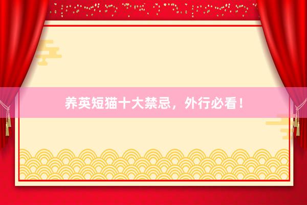养英短猫十大禁忌,外行必看!