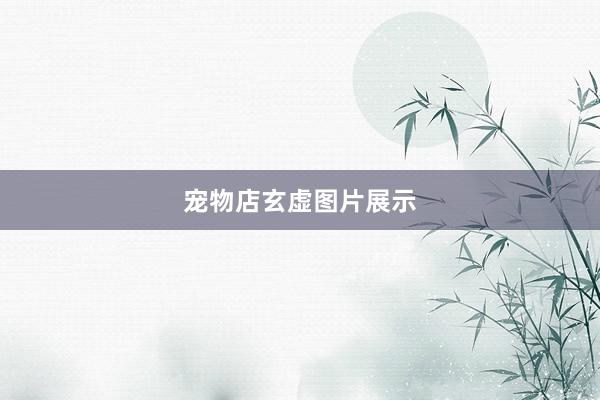 宠物店玄虚图片展示