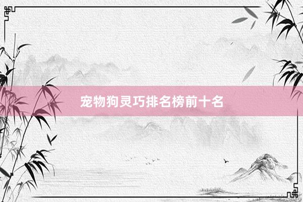 宠物狗灵巧排名榜前十名
